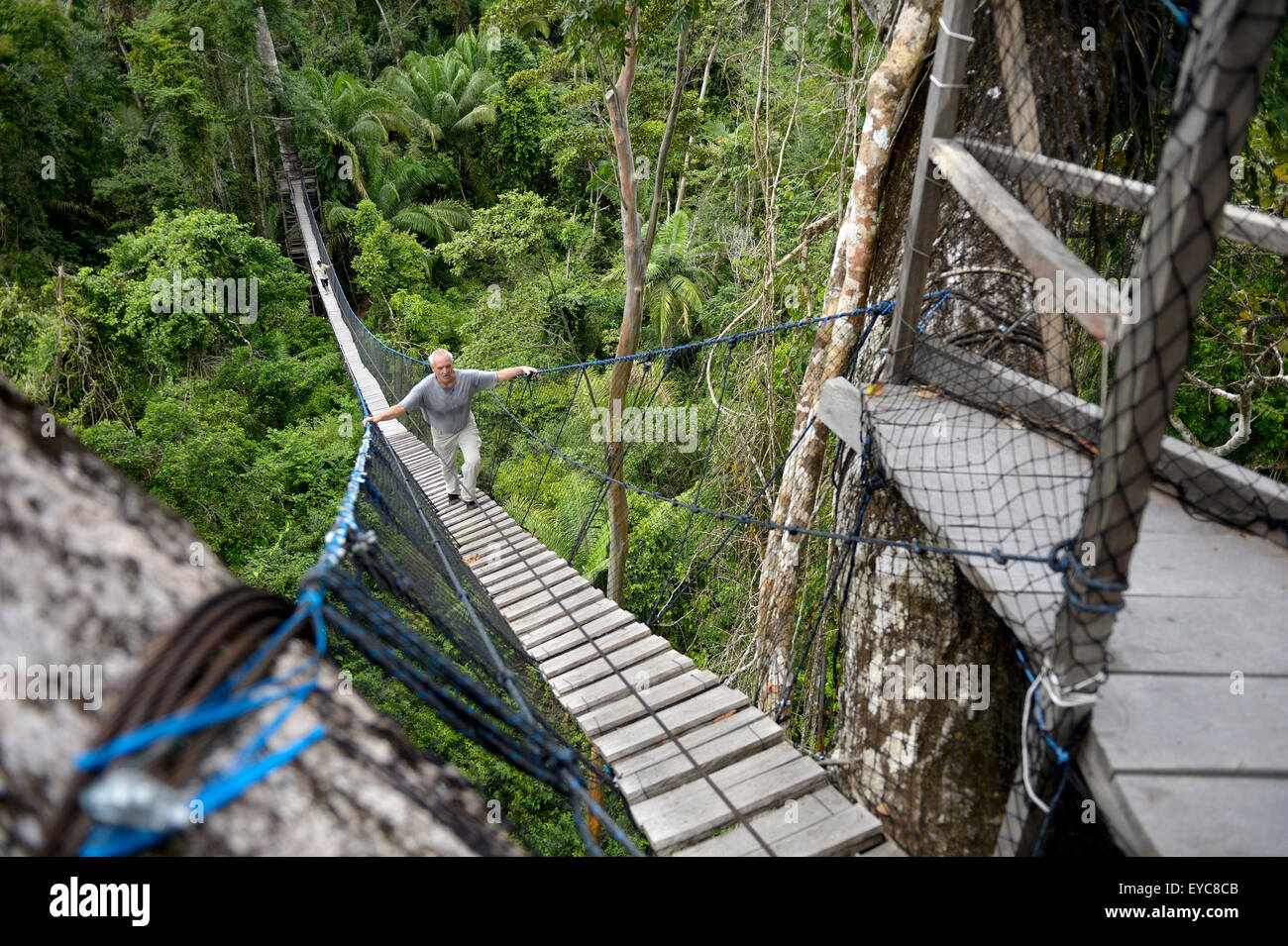 Suspension bridge between tall tropical trees of the Amazon rainforest, Jungle Lodge Estancia Bello Horizonte, Puerto Maldonado Stock Photo