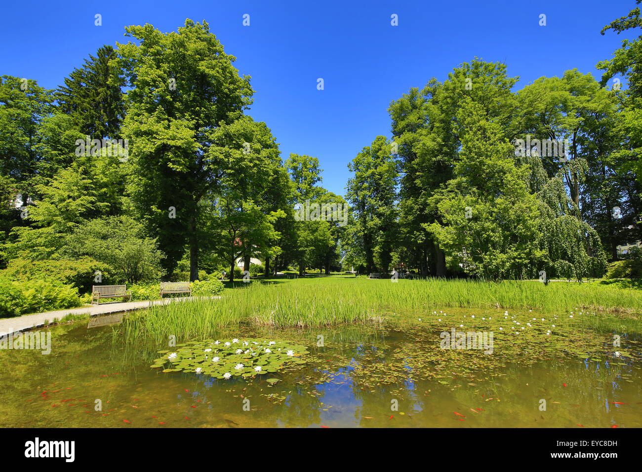 Spa garden, Bad Tölz, Upper Bavaria, Bavaria, Germany Stock Photo