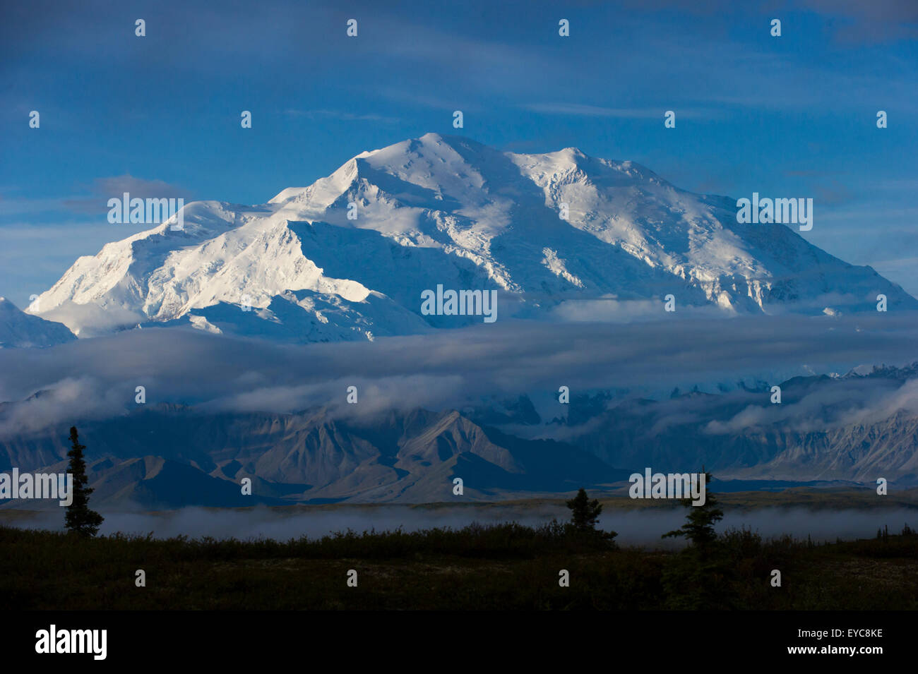 Snowy Mount McKinley, Denali National Park, Healy, Alaska Stock Photo