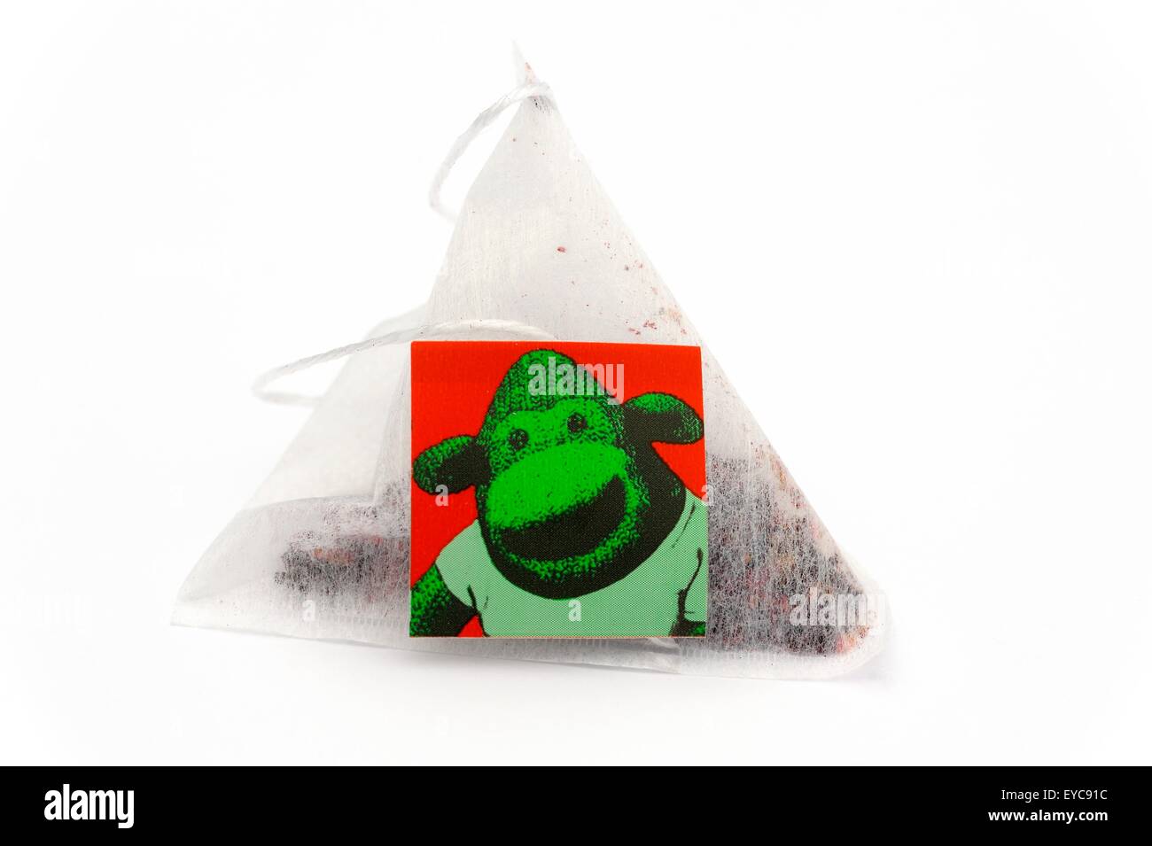 A PG tips red berry flavour pyramid herbal infusion bag with a monkey tag Stock Photo