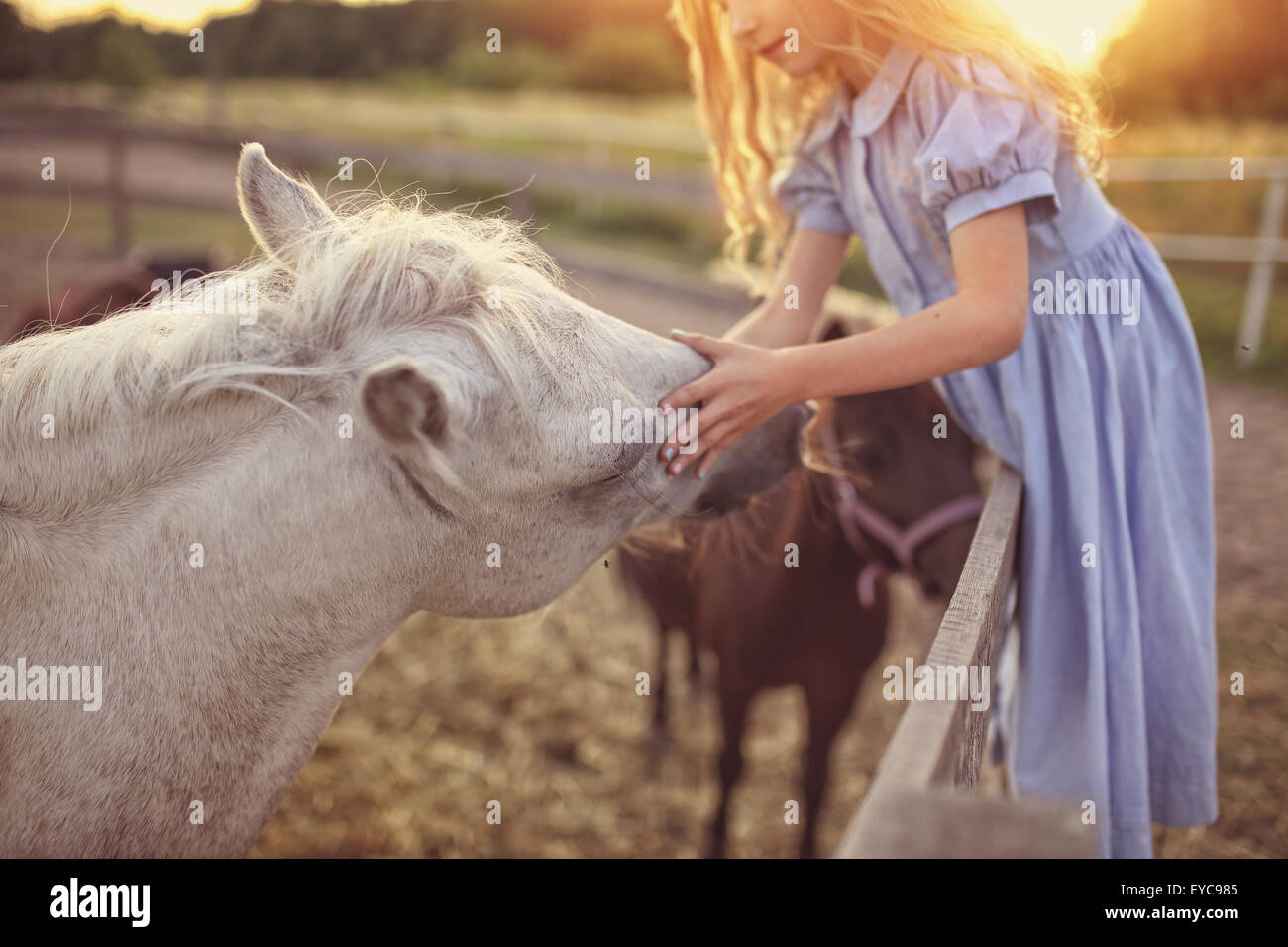Young girl petting a horse Stock Photo