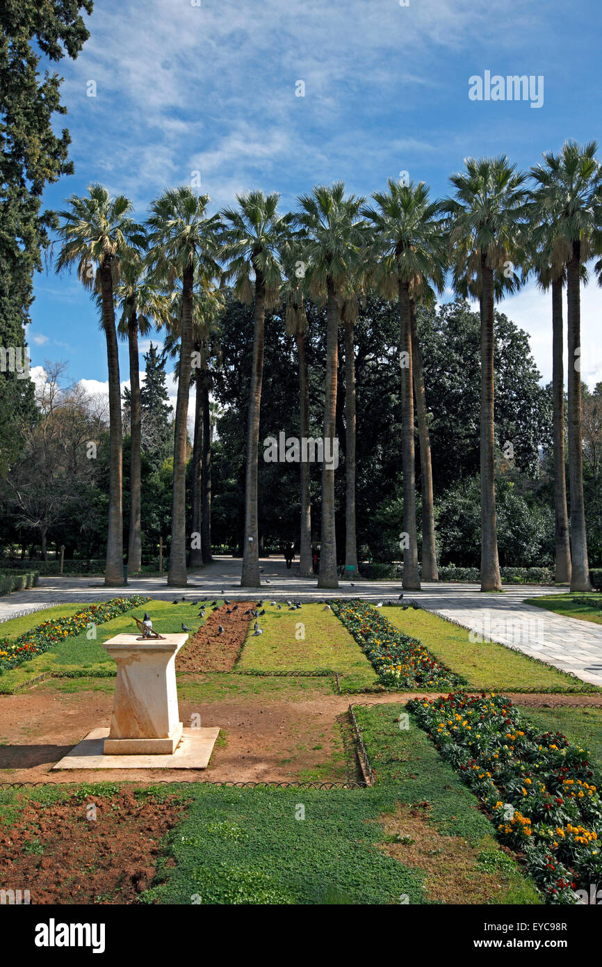Rows of date palm trees and other plants in the National gardens or