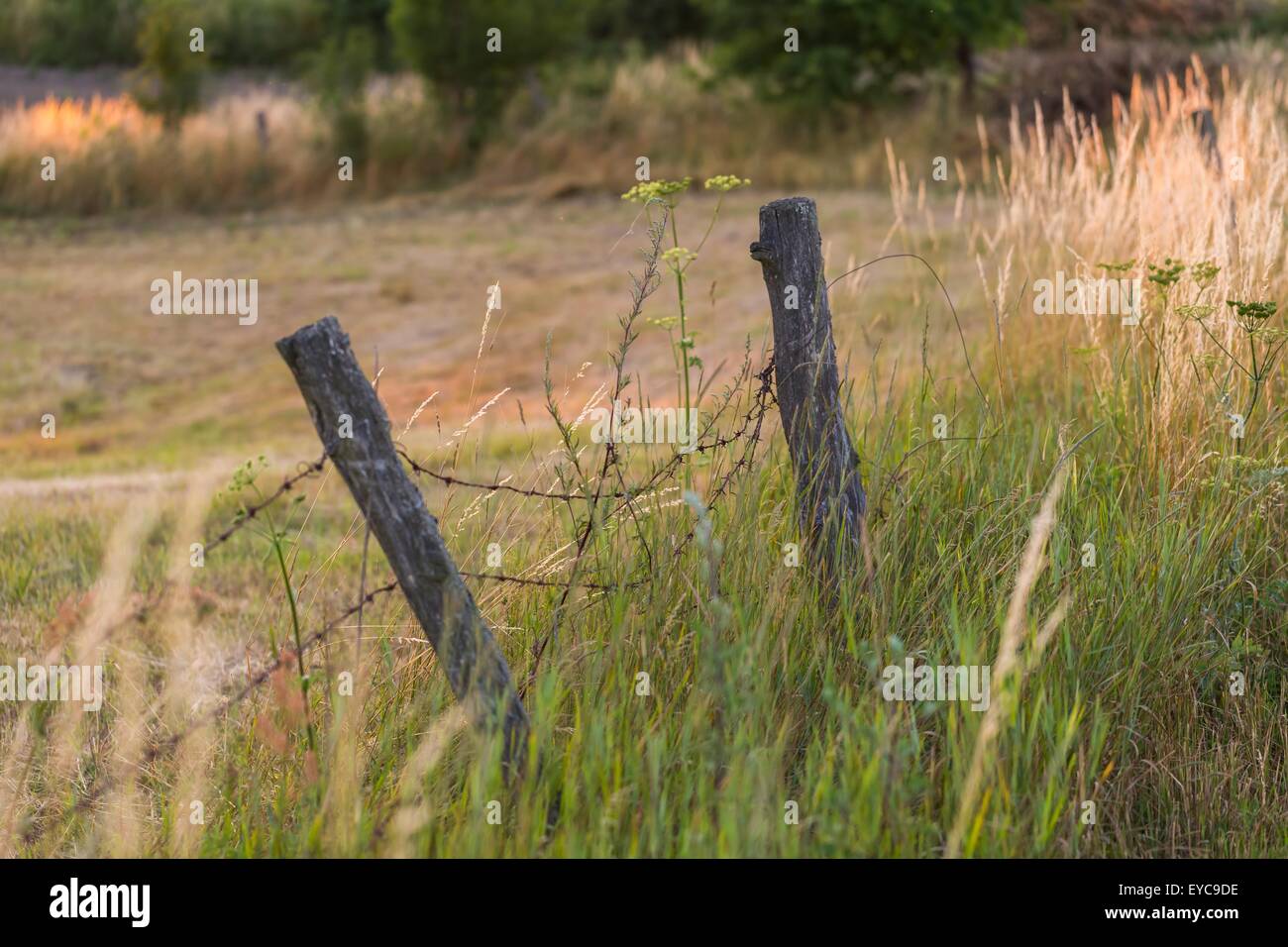 Old barbed wire fence hi-res stock photography and images - Alamy