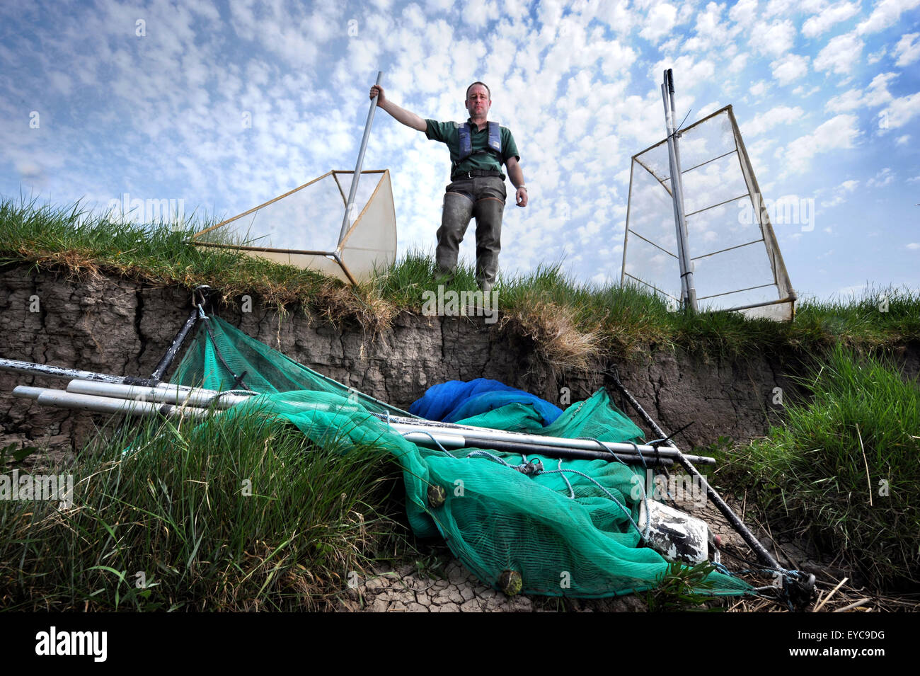 Environment Agency Bailiff Richard Dearnley with confiscated elver nets on the banks of the River Parrett near Bridgwater, Somer Stock Photo
