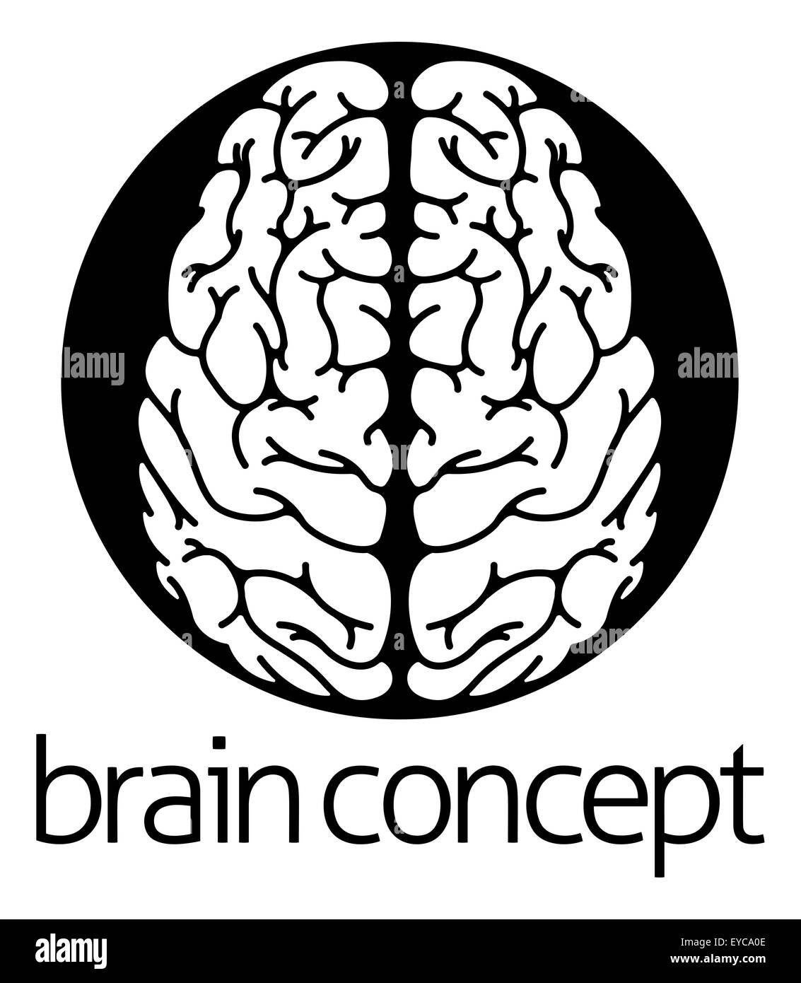 A conceptual illustration of the human brain from the top circle concept design Stock Photo