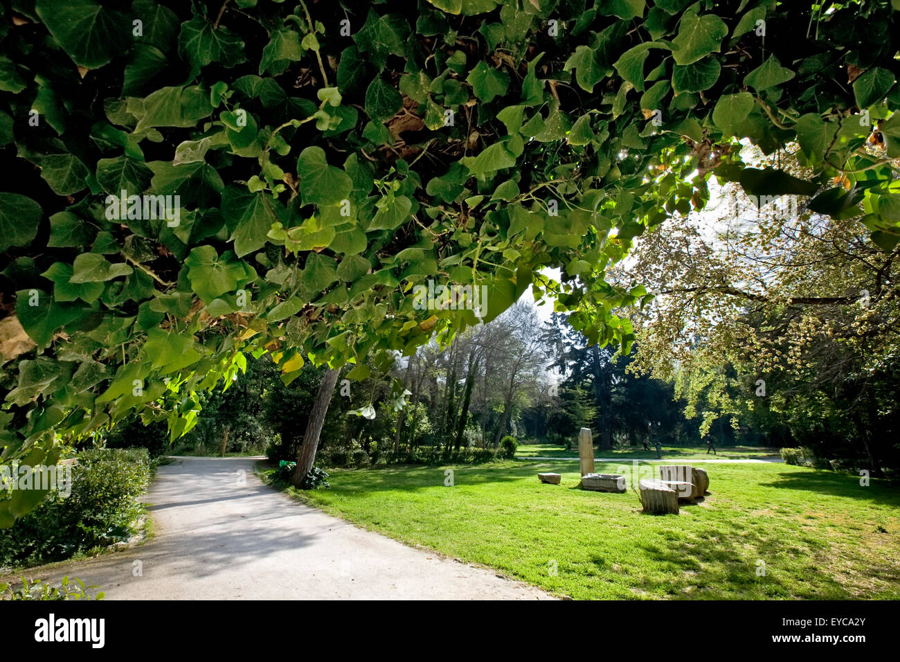 Corinthian marbles laying on the green park surrounded by foliage in National gardens of Athens. Syntagma. Greece Stock Photo