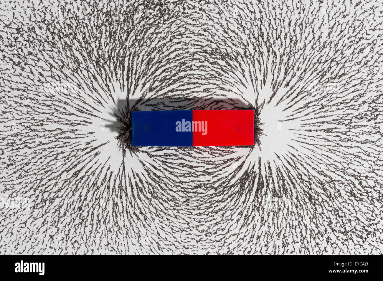 Attraction and repulsion iron metal particles align up along the magnetic  fields lines created by a bar magnet invisible to see Stock Photo - Alamy