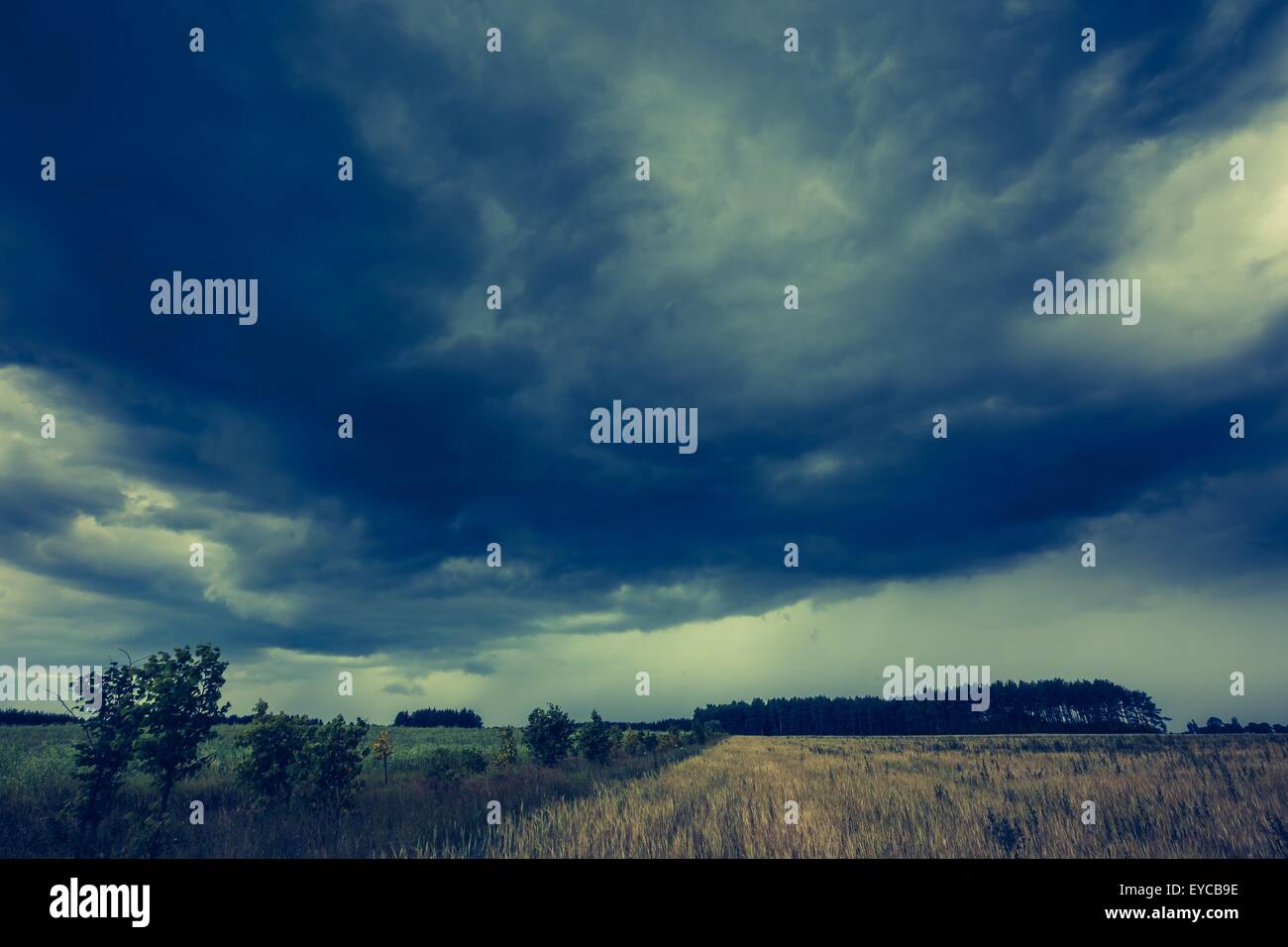 Vintage photo of dark stormy clouds over corn field at summer ...