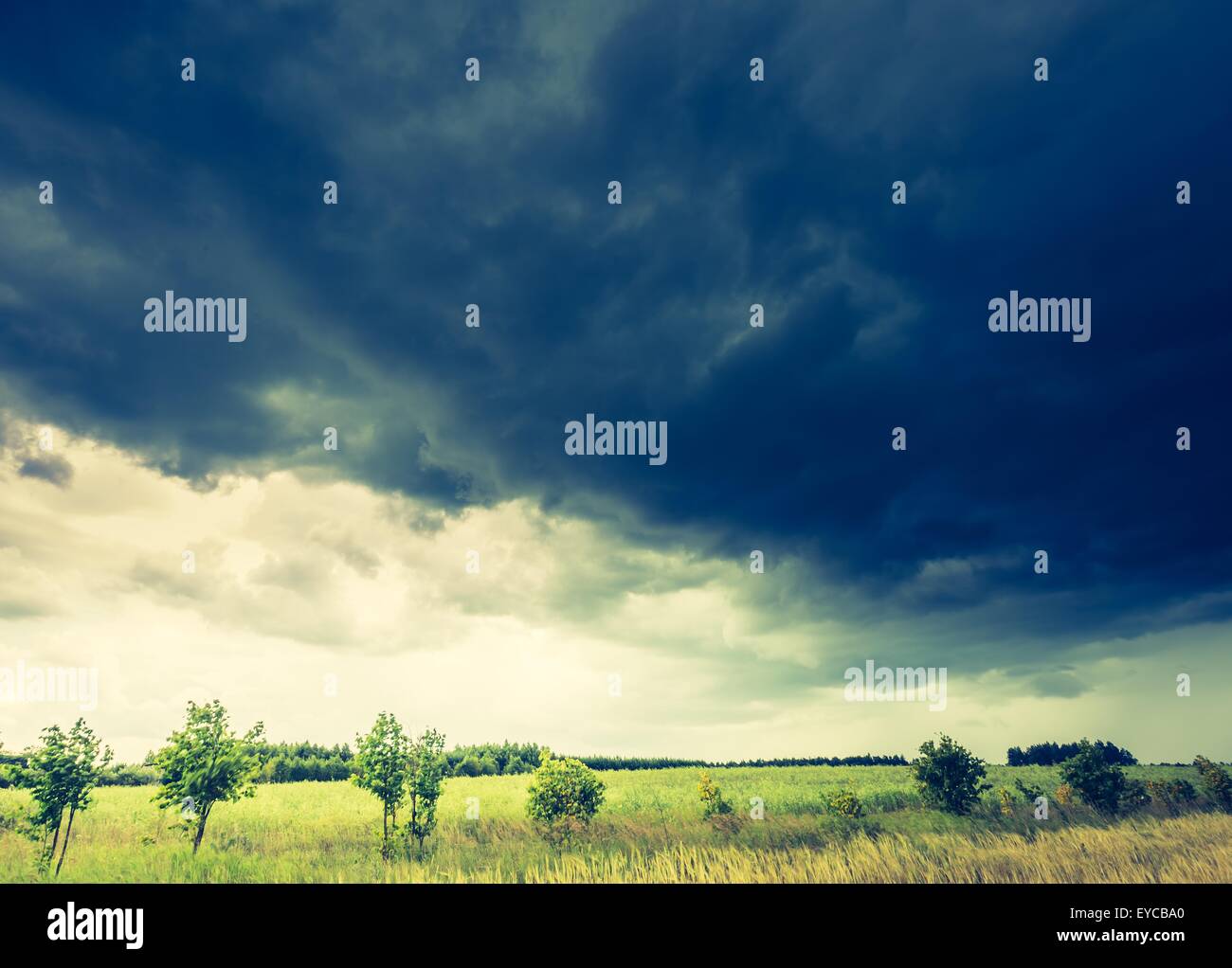 Vintage photo of dark stormy clouds over corn field at summer ...