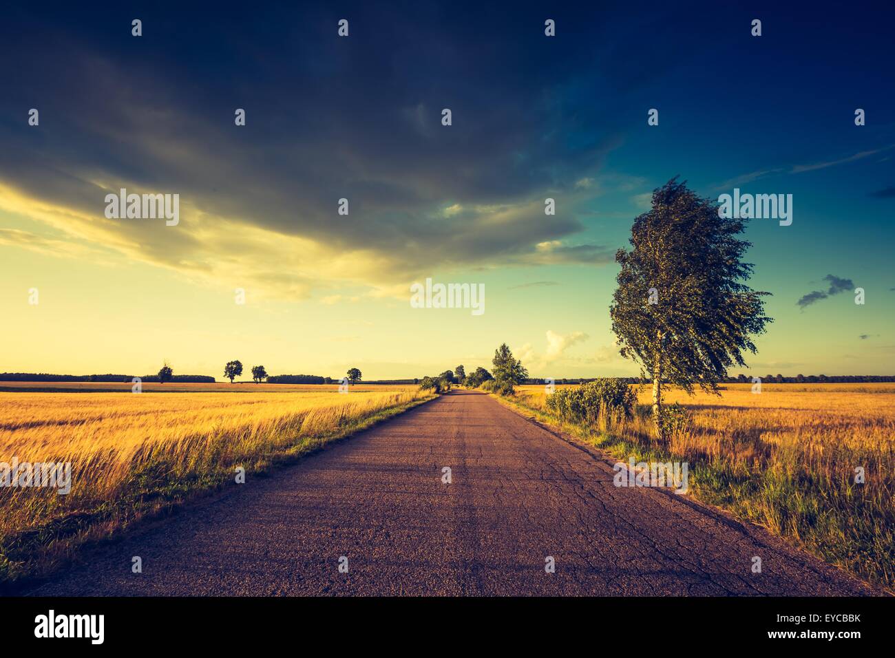 Vintage photo of rural summer landscape with old asphalt road and ...