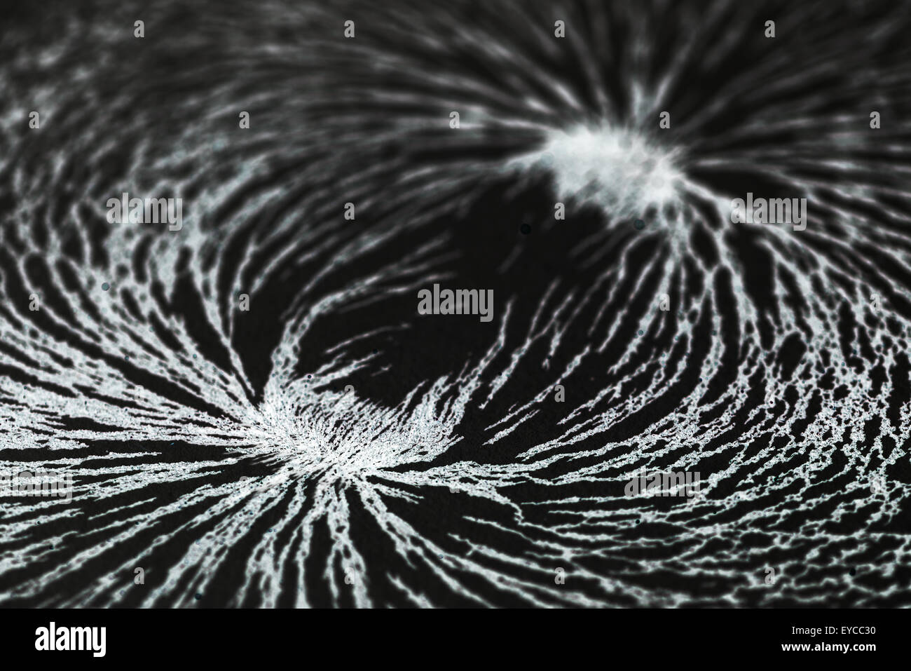 Attraction and repulsion iron metal particles align up along the magnetic fields lines created by a bar magnet invisible to see Stock Photo