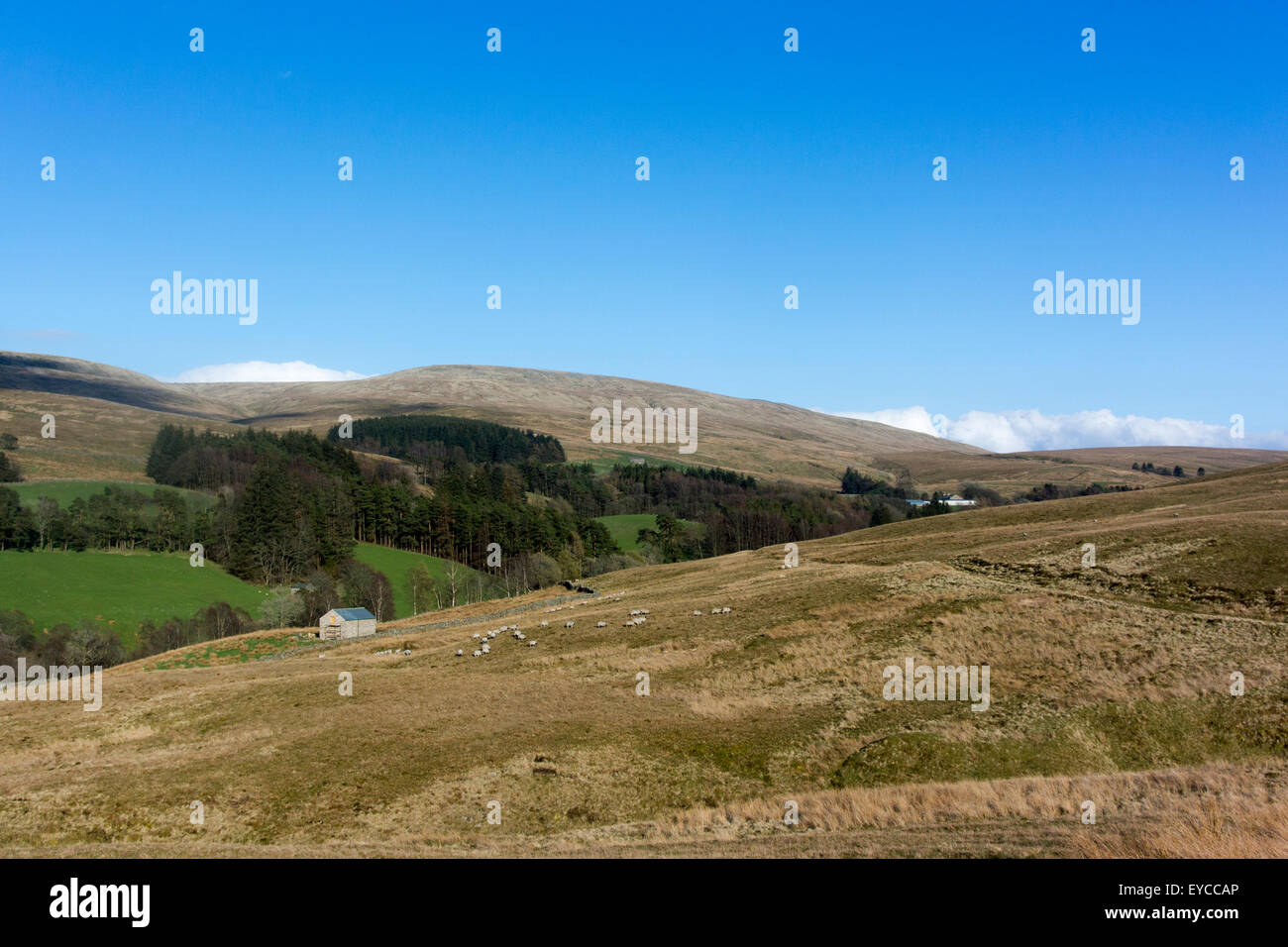 Rawthey Ghyll in east Cumbria, from Baughfell looking up towards Swarth Fell. Stock Photo