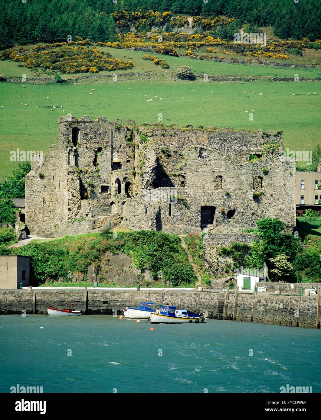 Carlingford Castle, Carlingford Lough, Cooley Peninsula, Co Louth, Ireland; Medieval Castle On A Sea Lough Stock Photo