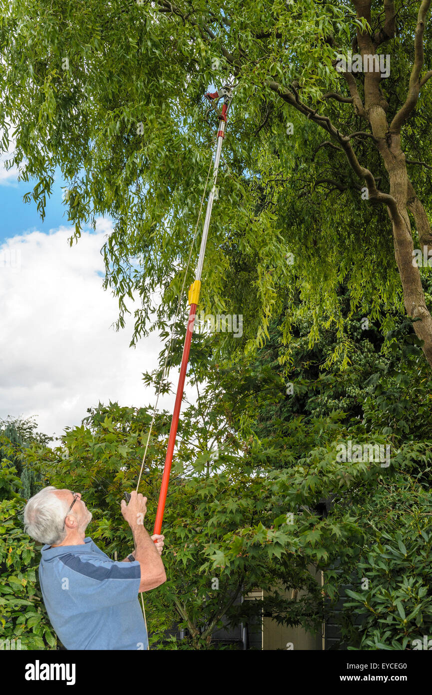 Long handled tree lopper Stock Photo Alamy
