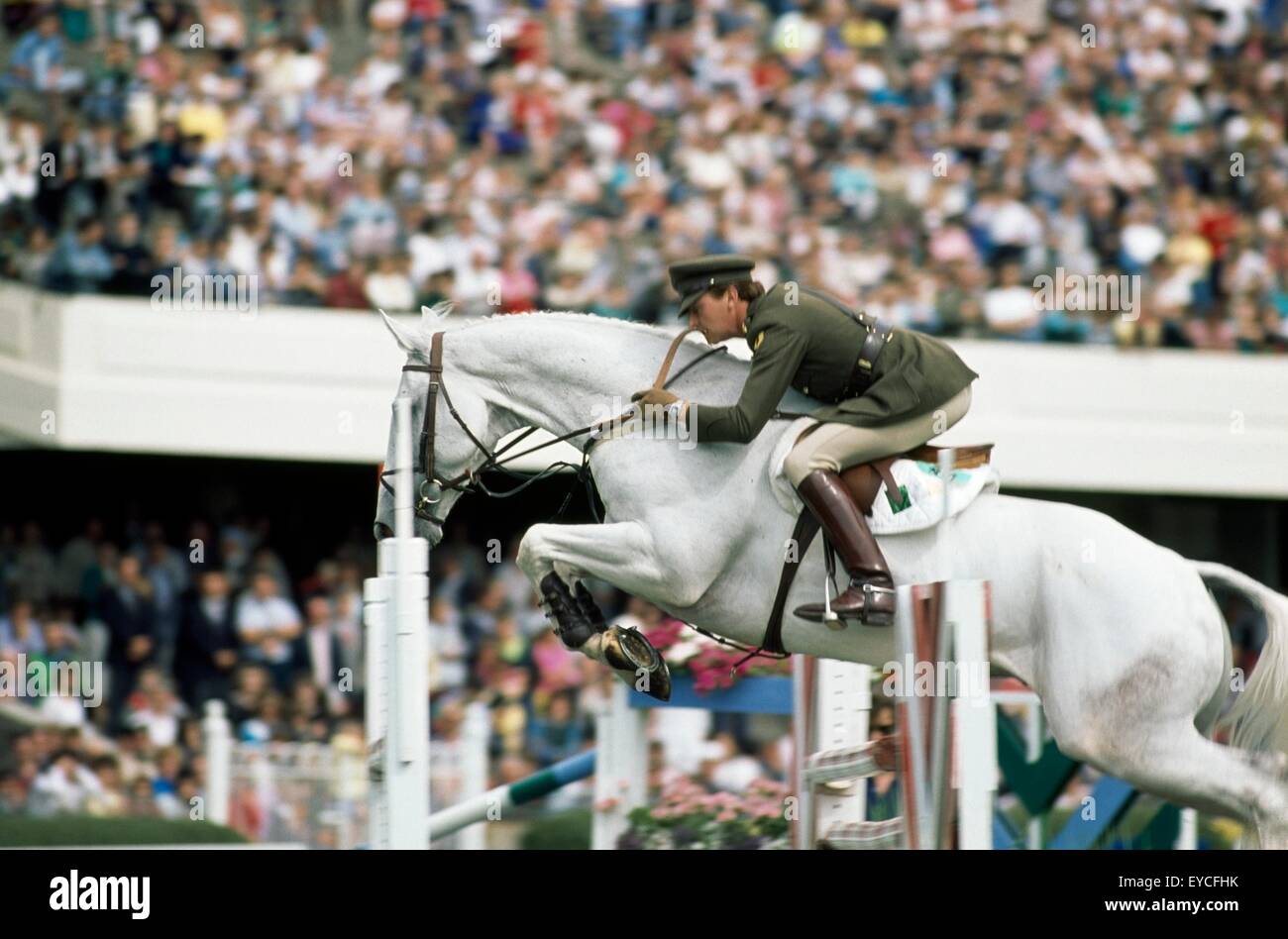 Dublin Rds Horse Show Stock Photo Alamy dublin-rds-horse-show-stock-photo-alamy