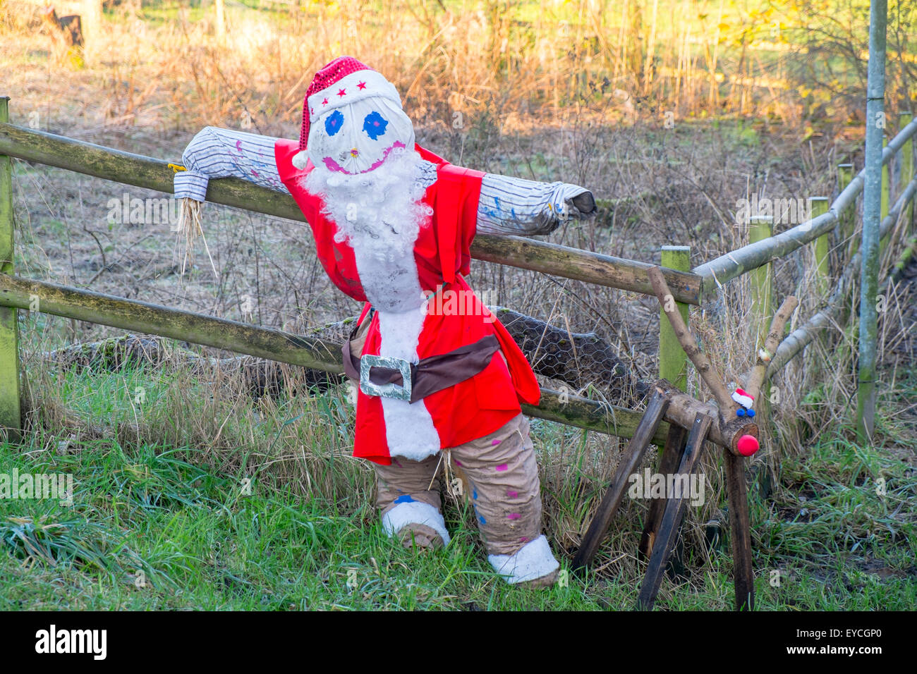 farmers scarecrow dressed as father christmas, lancashire,england Stock