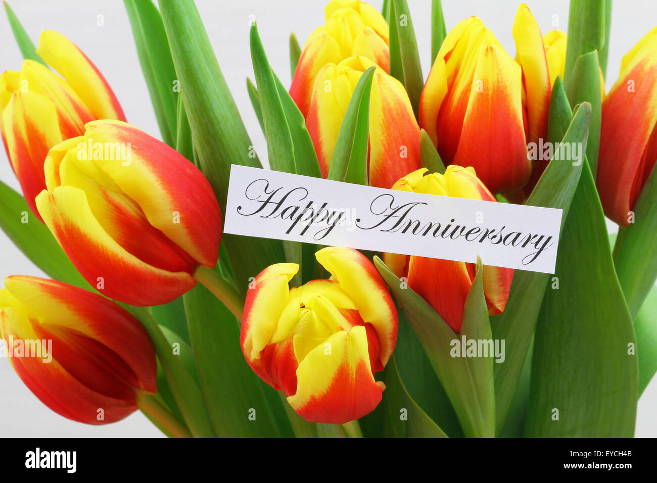 Happy Anniversary card with colorful tulips Stock Photo - Alamy