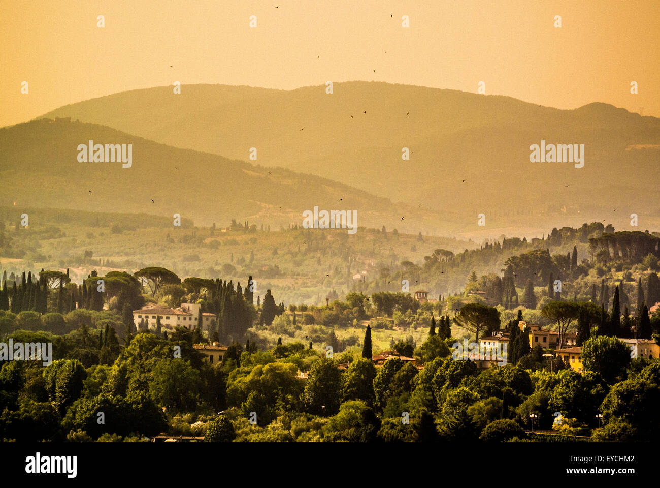 The countryside of Tuscany with a golden sky in summer. Italy. Stock Photo