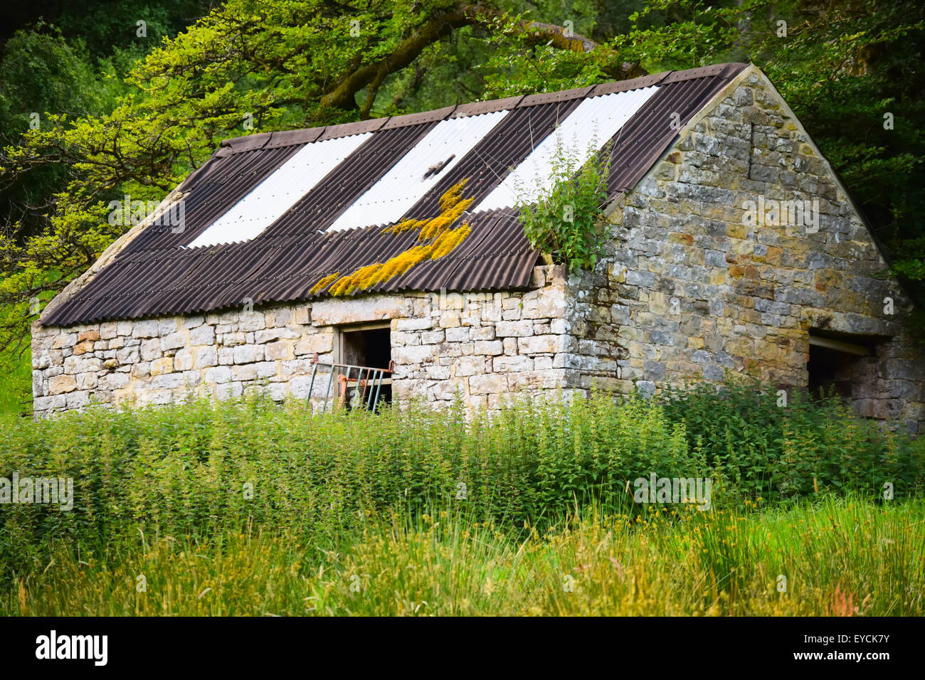 Old barn with corrugated roof in field Stock Photo - Alamy