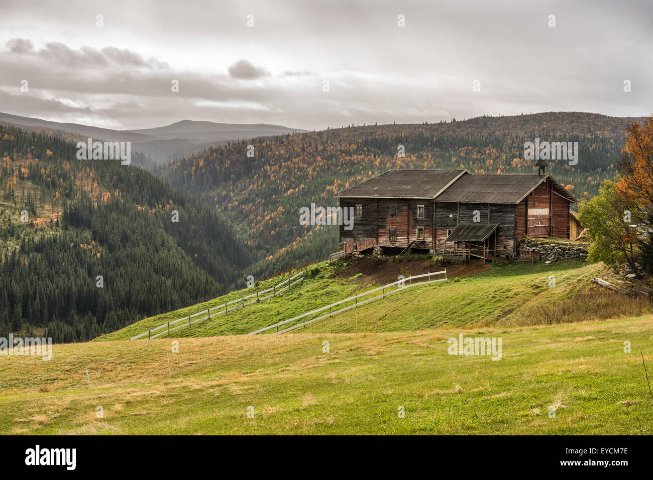 Typical norwegian farmhouse shed in autumn near Rondane National Park, Norway Stock Photo