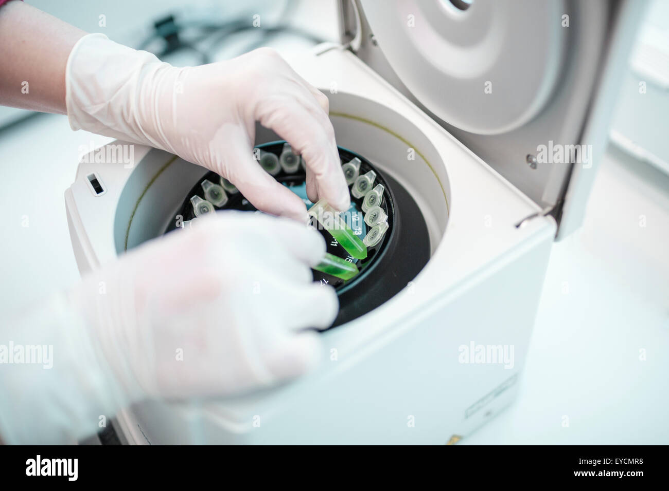 Using centrifuge in laboratory Stock Photo Alamy