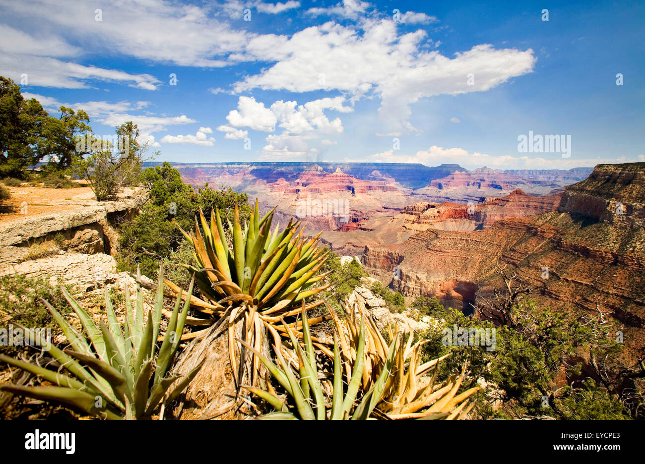 Grand Canyon Stock Photo