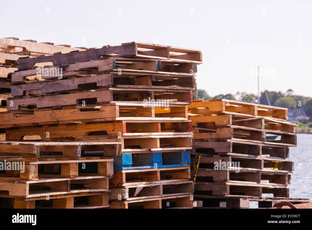 Several stacks of wooden pallets fill much of this landscape formatted