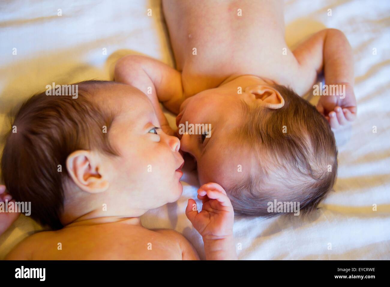 Twin baby sister and brother Stock Photo