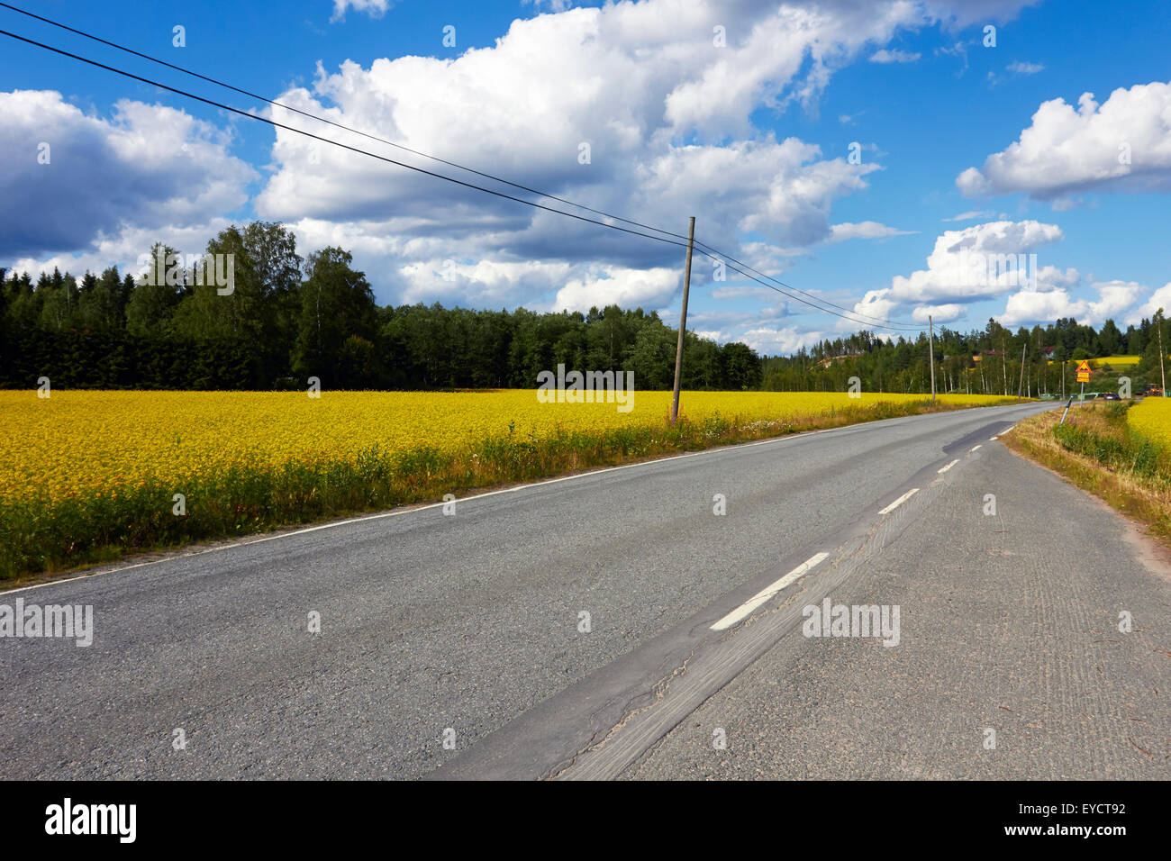 Rural road scene, Ristiina Finland Stock Photo