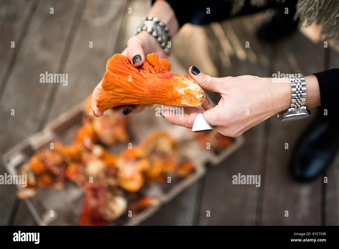 Womans hands holding lobster mushroom Stock Photo