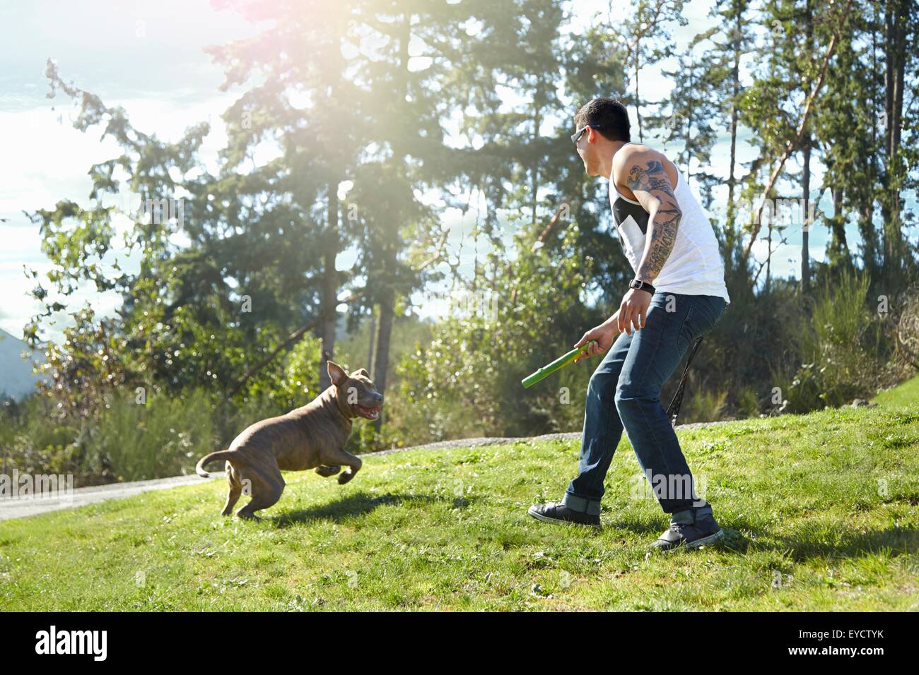 Young man throwing stick for dog in park Stock Photo