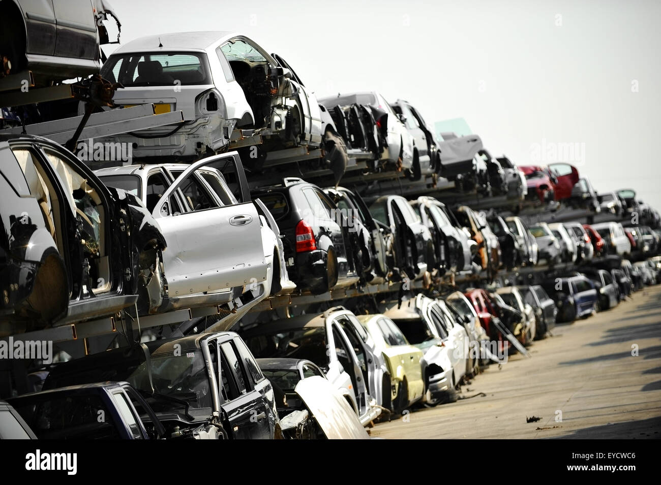 Wrecked vehicles are seen in a car junkyard Stock Photo