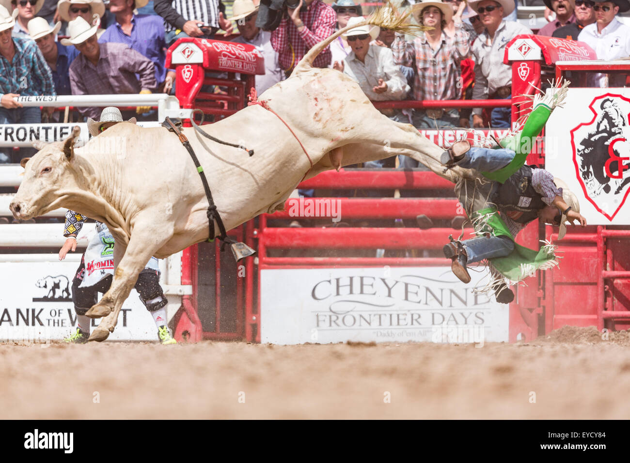 Cheyenne, Wyoming, USA. 26th July, 2015. Bull rider Aaron Pass is tossed from his bull after completing his ride during the Bull Riding finals at the Cheyenne Frontier Days rodeo in Frontier Park Arena July 26, 2015 in Cheyenne, Wyoming. Pass went on to win the Bull Riding Championship. Stock Photo