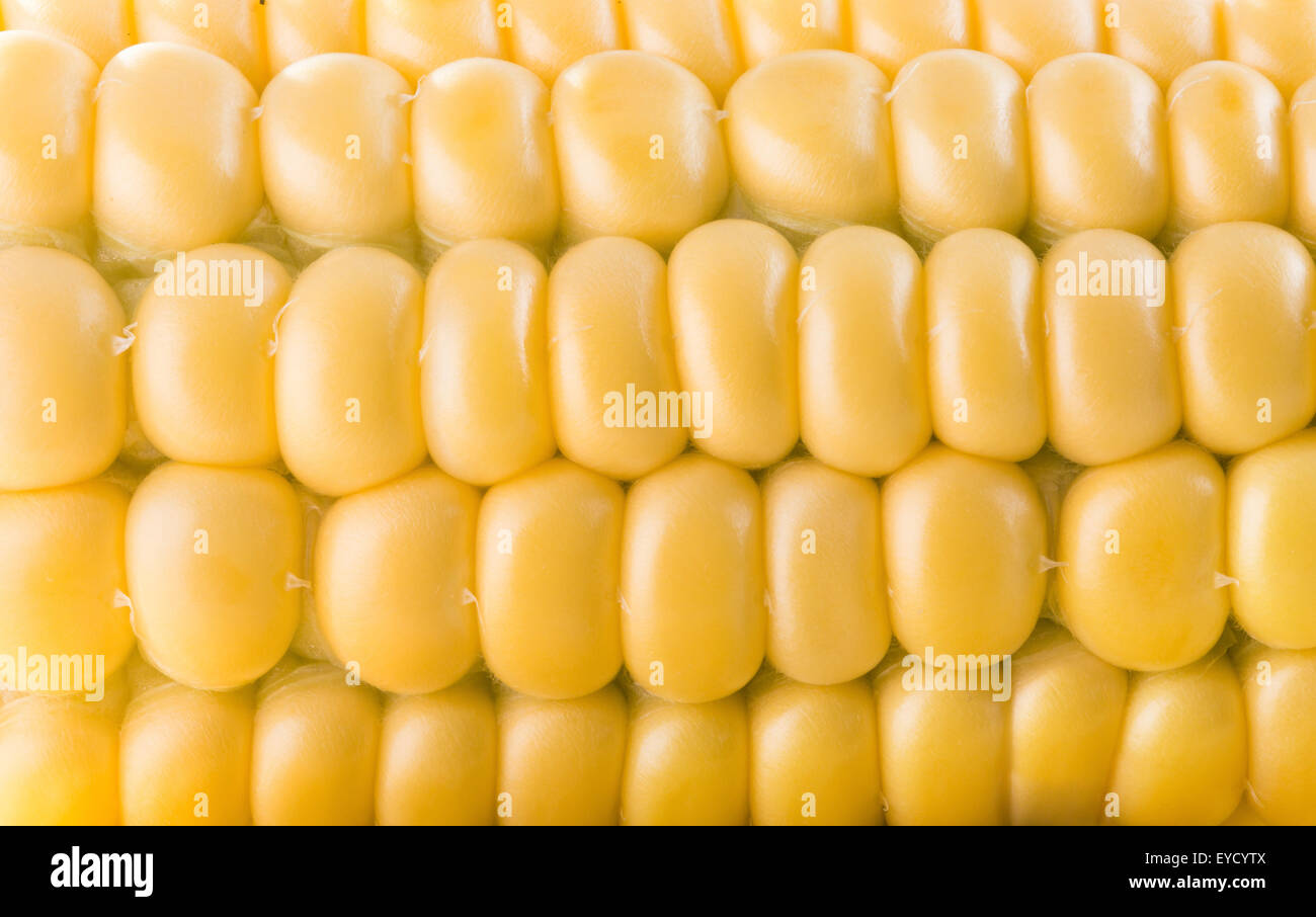 close up of fresh corn ear. Stock Photo