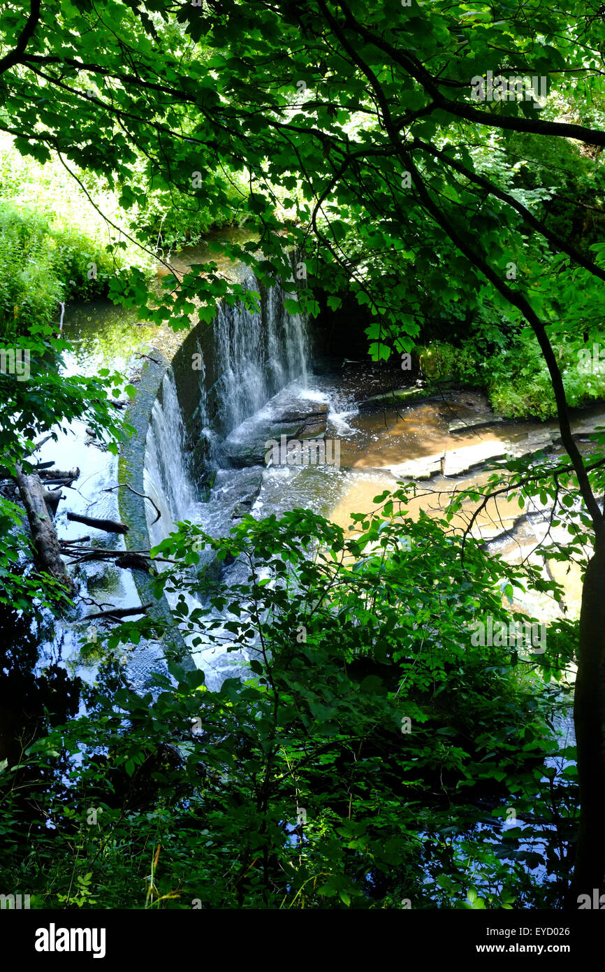 Yarrow Valley Country Park, Lancashire, England Stock Photo Alamy