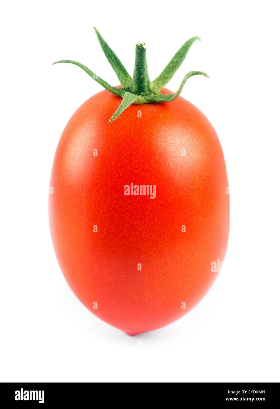 Fresh tomato on white background Stock Photo - Alamy