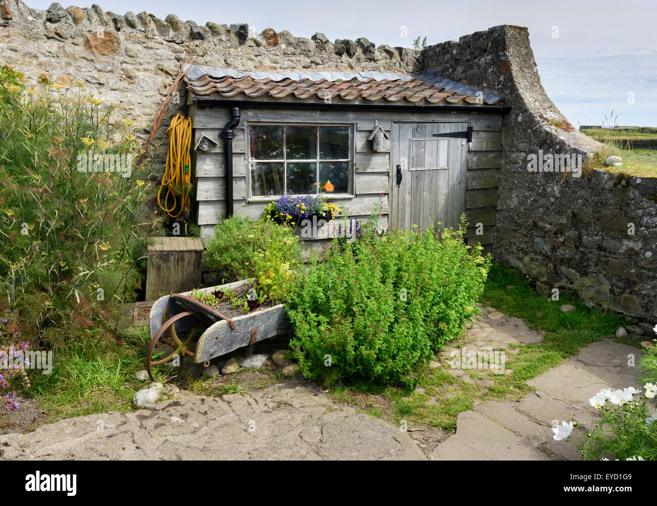Garden Shed Stock Photo