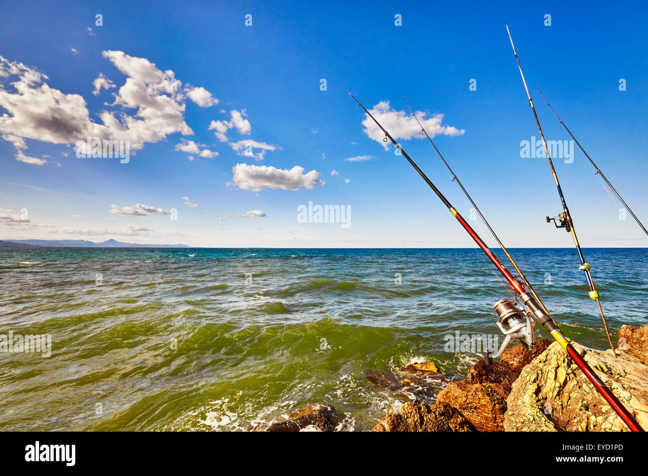 BEMIDJI, MN - 29 JUL 2019: Rack with Many Fishing Rods in Retail Store  Editorial Stock Photo - Image of fish, line: 154643043