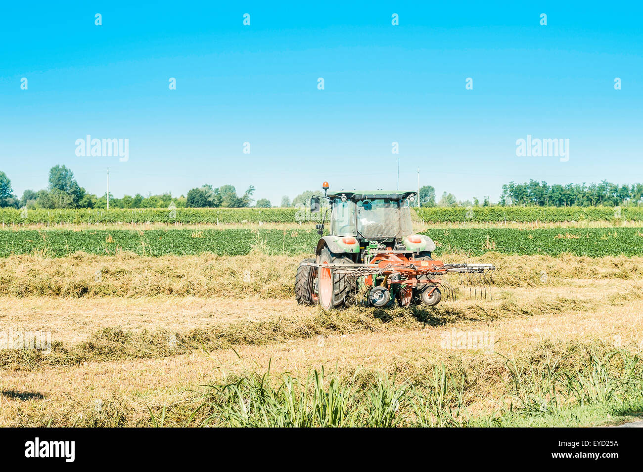 Agricultural jobs haymaking tractor with Tedding equipment Stock Photo