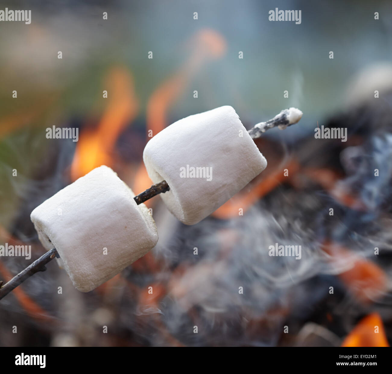 Marshmallow on a stick hires stock photography and images Alamy