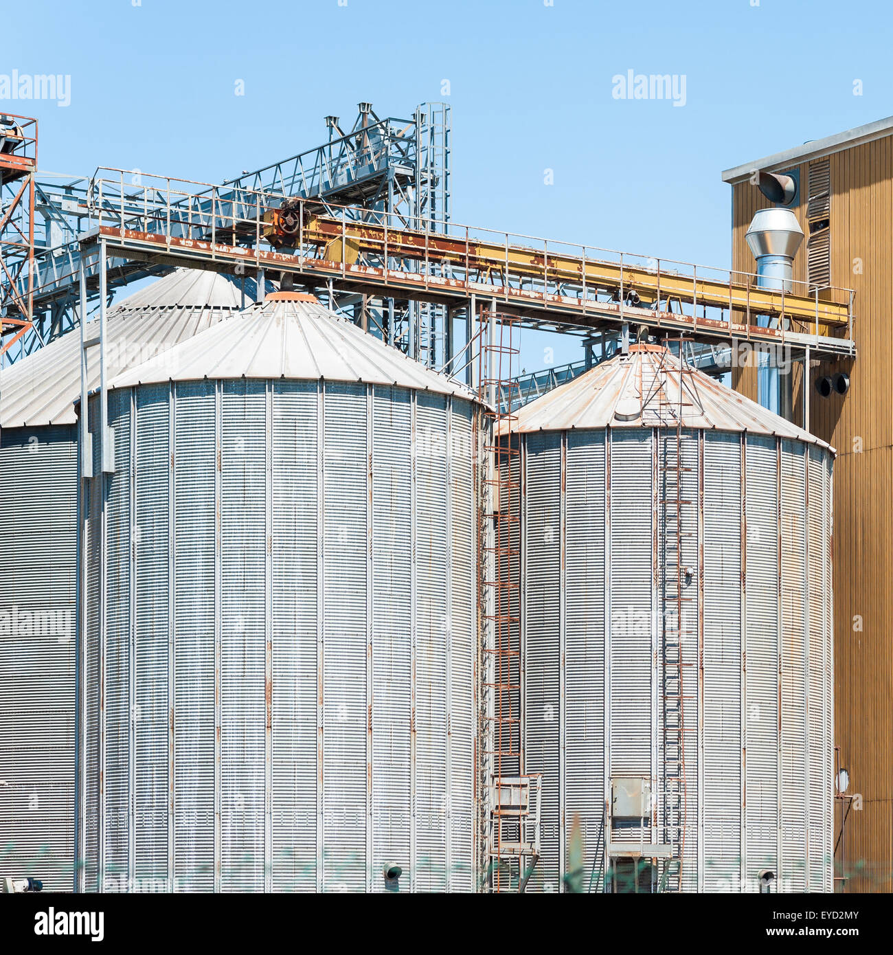 Optimal Storage Solutions for Cereals and Pulses: Preserving Quality and Freshness
