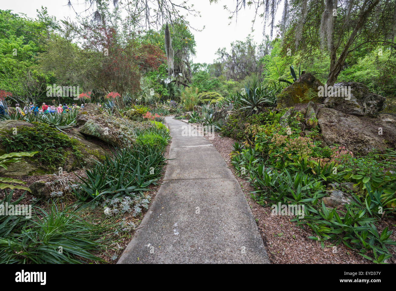 Kanapaha Spring Garden Festival in Gainesville Florida Stock Photo Alamy