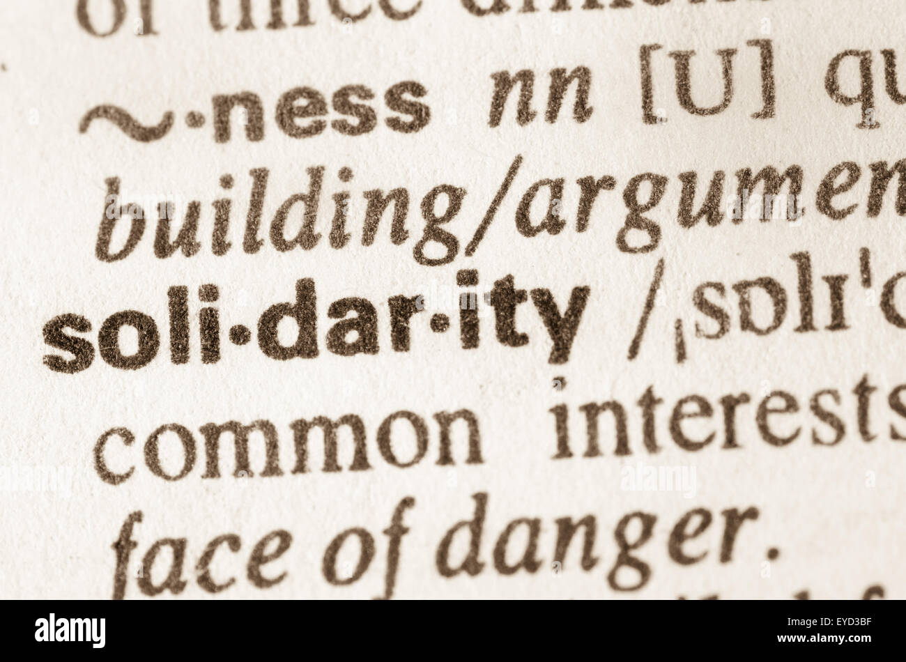 Definition of word solidarity in dictionary Stock Photo