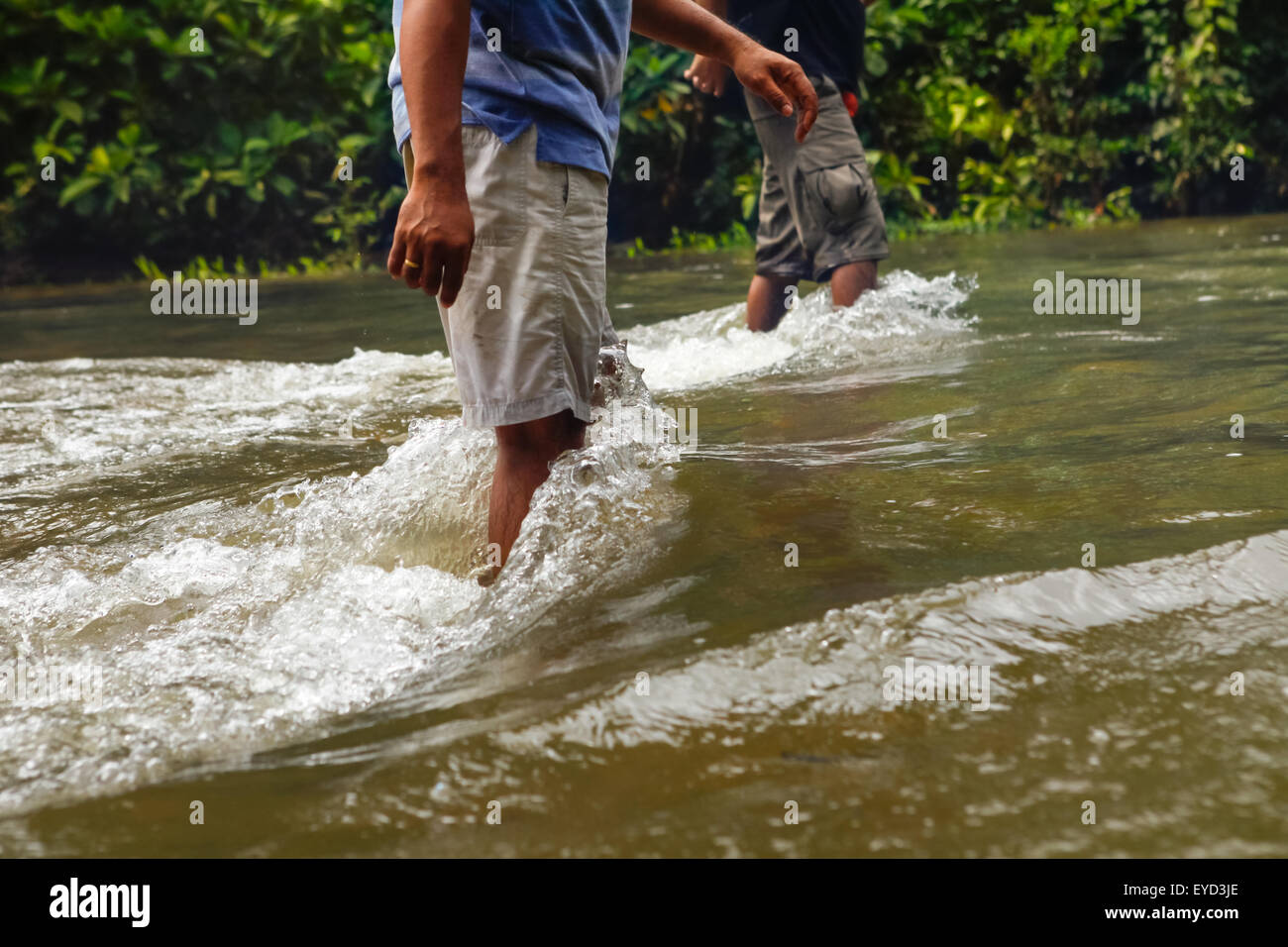 Men walking on shallow rapid stream in the middle of customary forest near the longhouse of traditional Dayak Iban community in Kapuas Hulu, Indonesia. Stock Photo