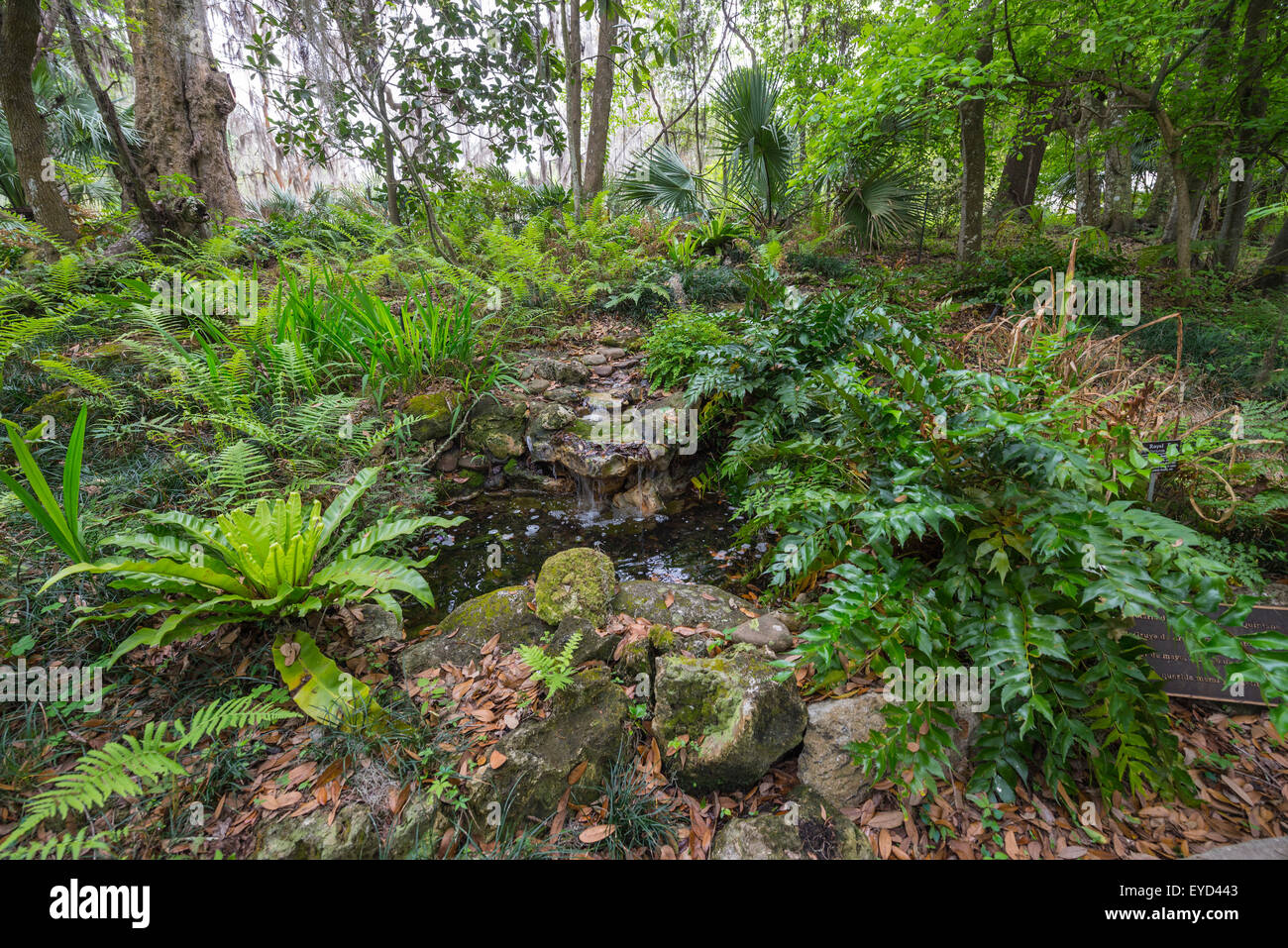 Kanapaha Spring Garden Festival in Gainesville Florida Stock Photo Alamy