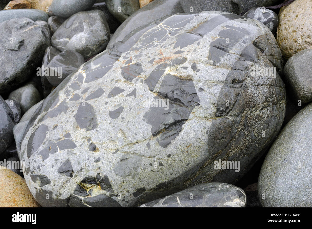 Rain soaked boulders on the beach of Village Bay. Hirta, St Kilda, Scotland, UK. Stock Photo
