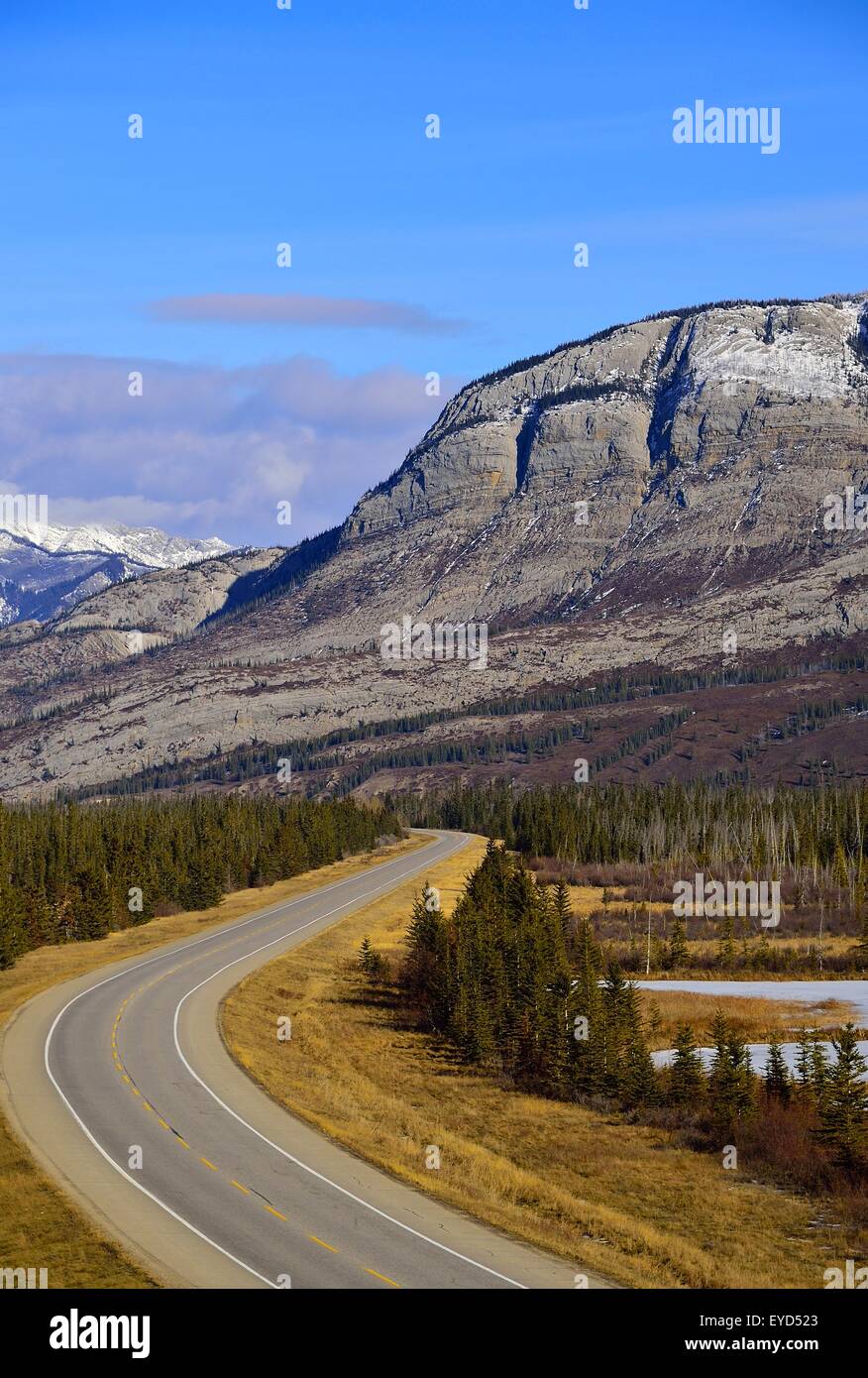 A vertical image of highway 16 as it curves around the end of Talbot lake and through the rocky mountains of Alberta Stock Photo