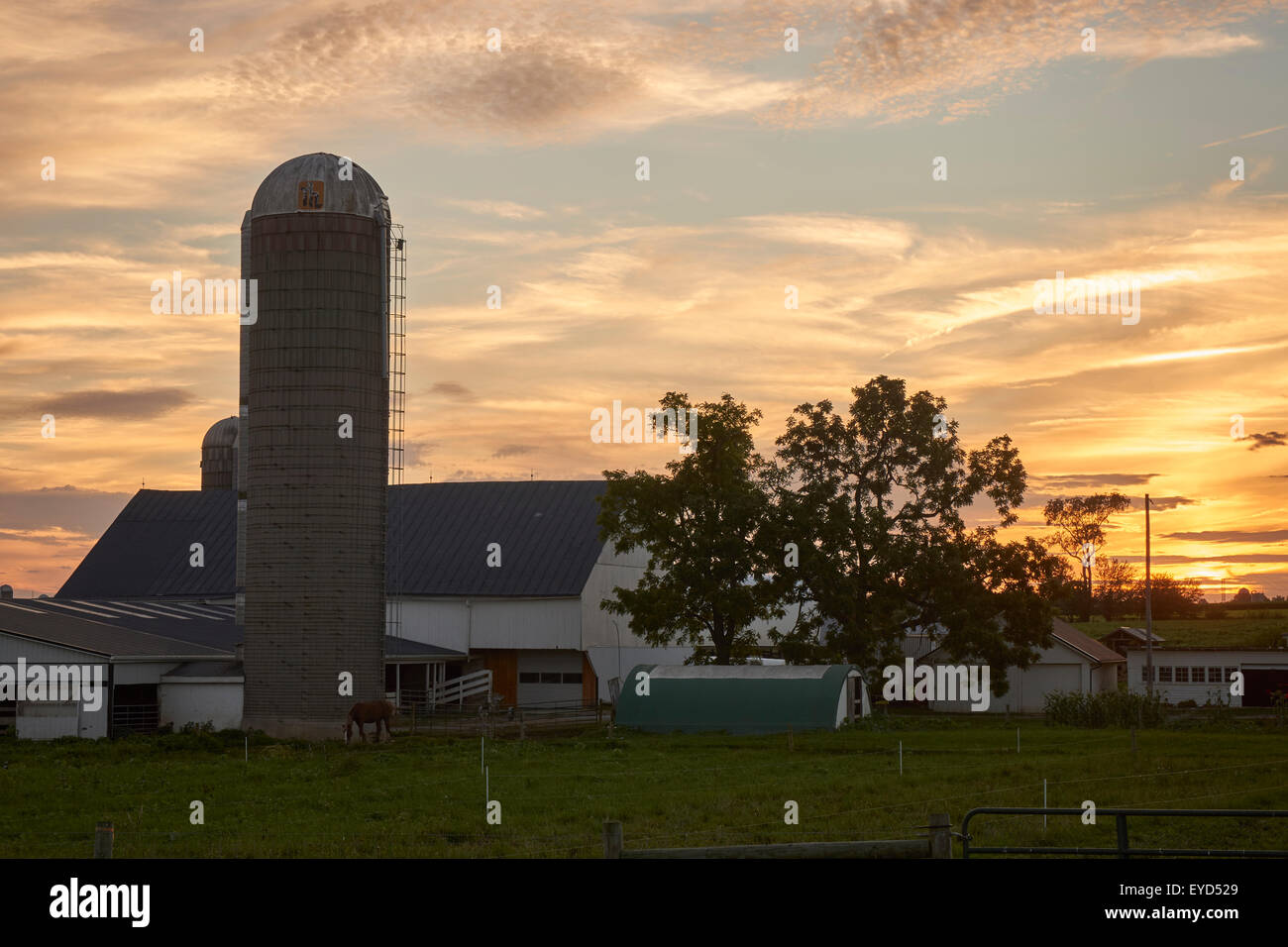 Sunset at the Miller Organic Farm in Lancaster County, Pennsylvania