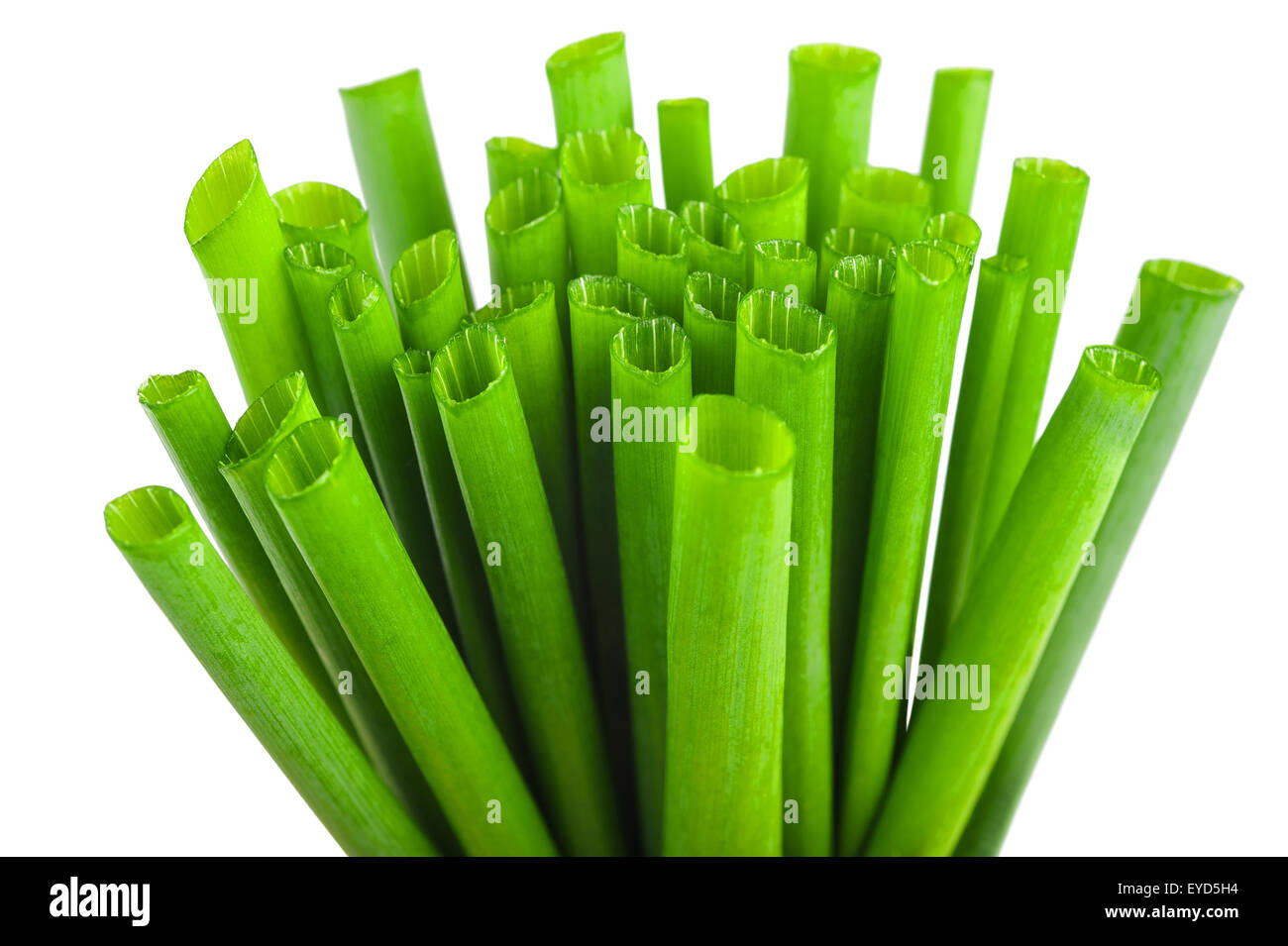 Cutting Chives  isolated on white background Stock Photo