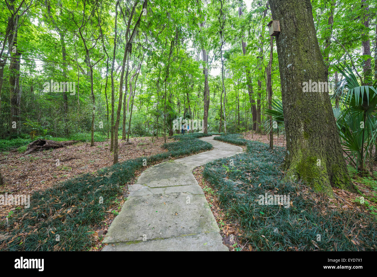 Annual Spring Garden Festival at Kanapaha Botanical Gardens in